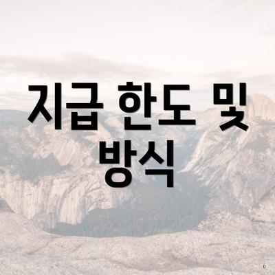 지급 한도 및 방식