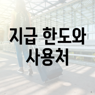 지급 한도와 사용처