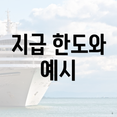 지급 한도와 예시