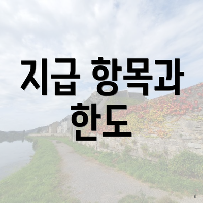 지급 항목과 한도