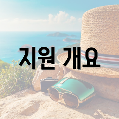 지원 개요