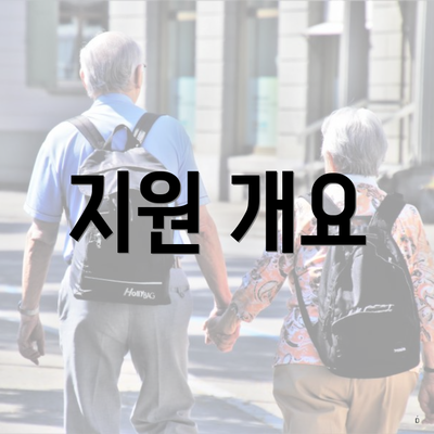지원 개요