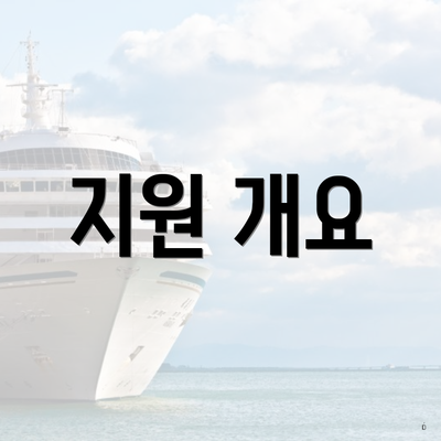 지원 개요