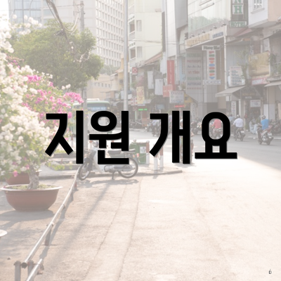 지원 개요