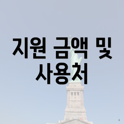 지원 금액 및 사용처