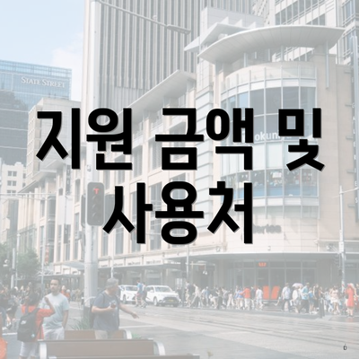 지원 금액 및 사용처