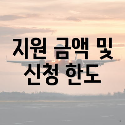 지원 금액 및 신청 한도