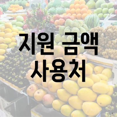 지원 금액 사용처