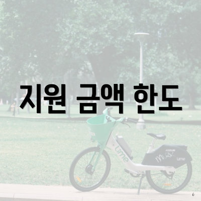 지원 금액 한도