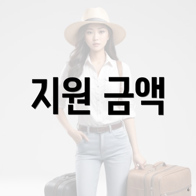 지원 금액