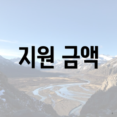 지원 금액