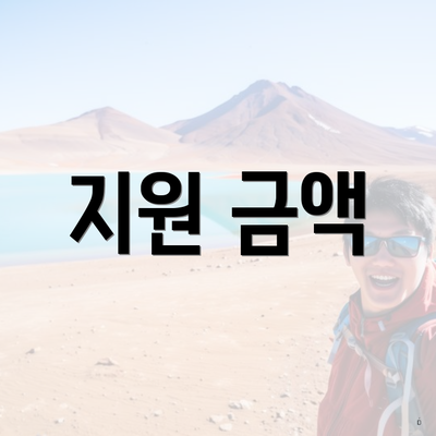 지원 금액
