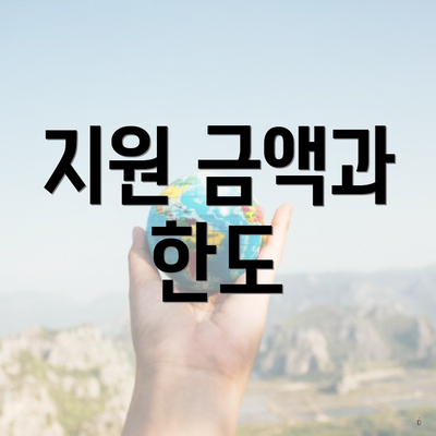 지원 금액과 한도