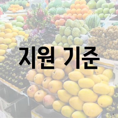 지원 기준