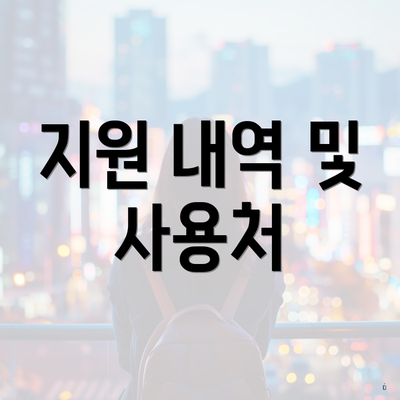 지원 내역 및 사용처