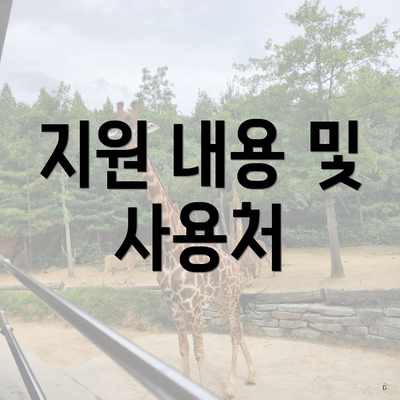 지원 내용 및 사용처