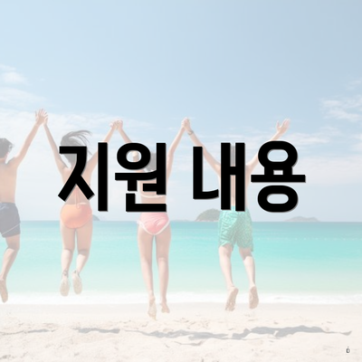 지원 내용