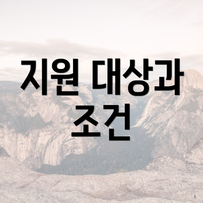 지원 대상과 조건