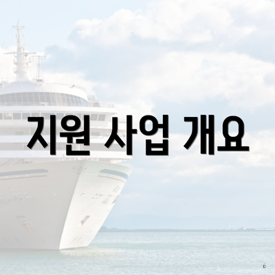 지원 사업 개요