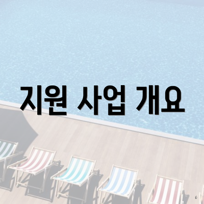 지원 사업 개요