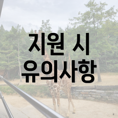 지원 시 유의사항