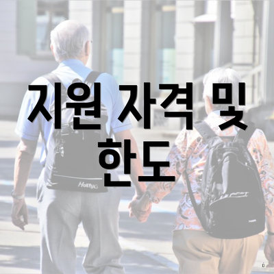 지원 자격 및 한도