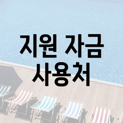 지원 자금 사용처