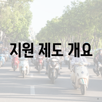지원 제도 개요