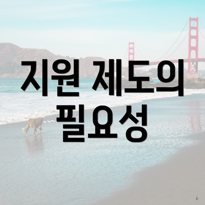 지원 제도의 필요성