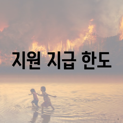 지원 지급 한도
