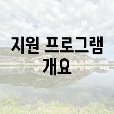 지원 프로그램 개요