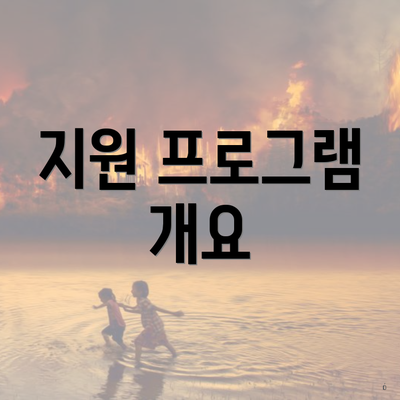 지원 프로그램 개요