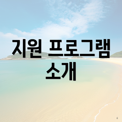 지원 프로그램 소개