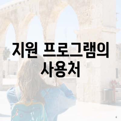 지원 프로그램의 사용처