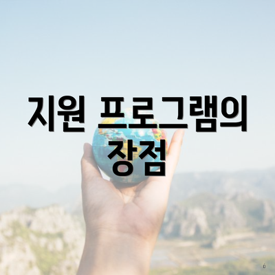 지원 프로그램의 장점