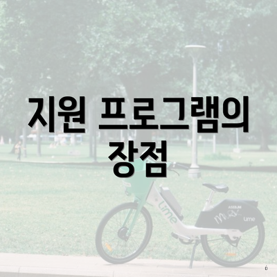 지원 프로그램의 장점