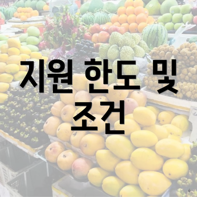 지원 한도 및 조건