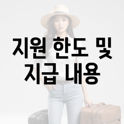 지원 한도 및 지급 내용