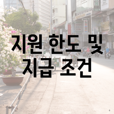 지원 한도 및 지급 조건