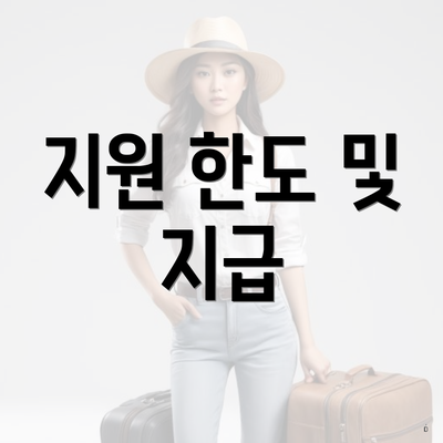 지원 한도 및 지급