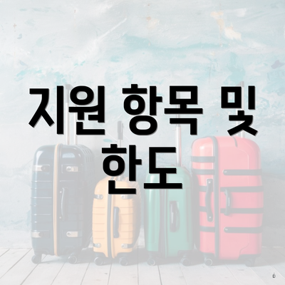 지원 항목 및 한도