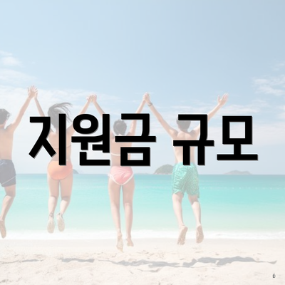 지원금 규모