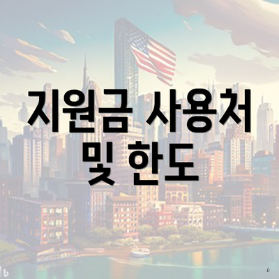 지원금 사용처 및 한도