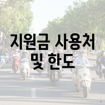 지원금 사용처 및 한도