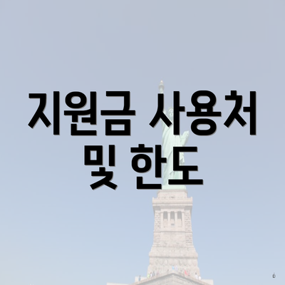 지원금 사용처 및 한도