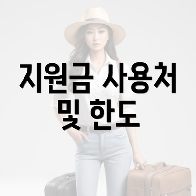지원금 사용처 및 한도