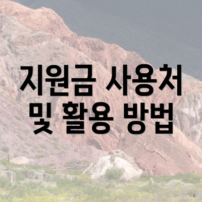 지원금 사용처 및 활용 방법