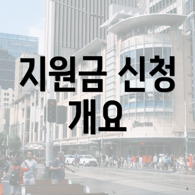 지원금 신청 개요