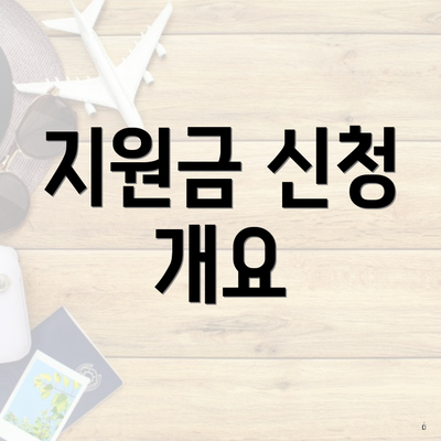 지원금 신청 개요