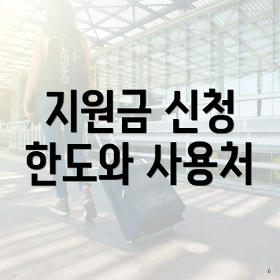 지원금 신청 한도와 사용처